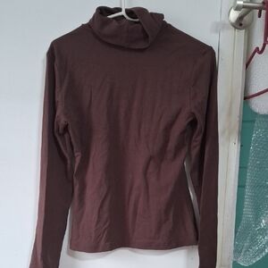 Elegant Brown Long Sleeve Turtleneck Top (Rox202)